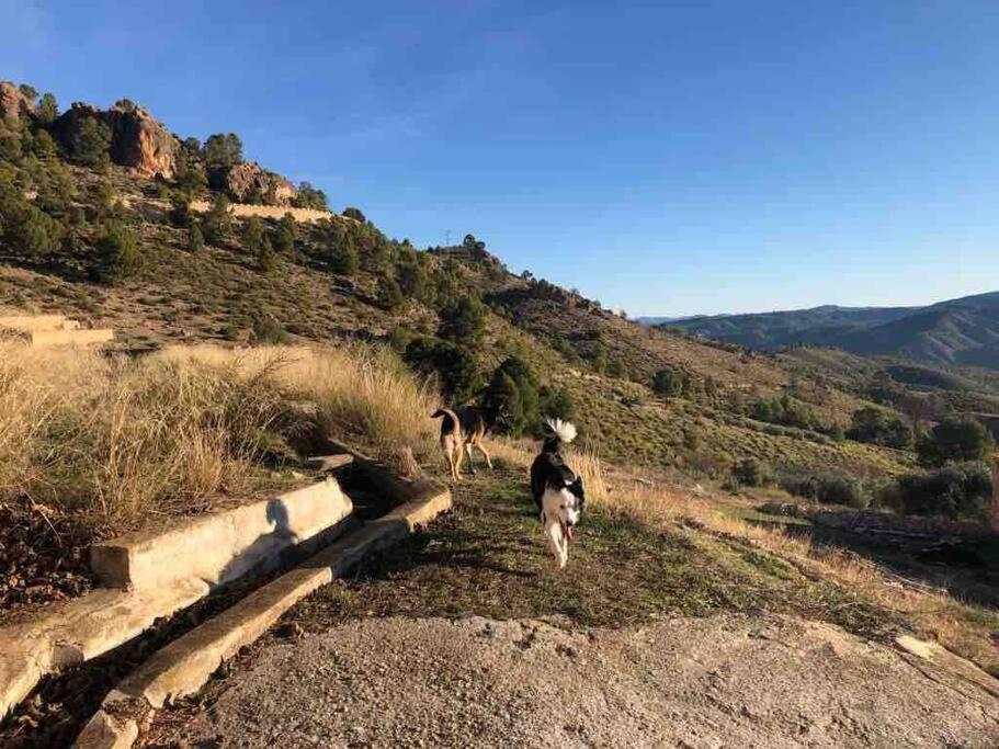 Casa Rural Con Encanto Senorio Manchego Albacete Yeste Eksteriør bilde