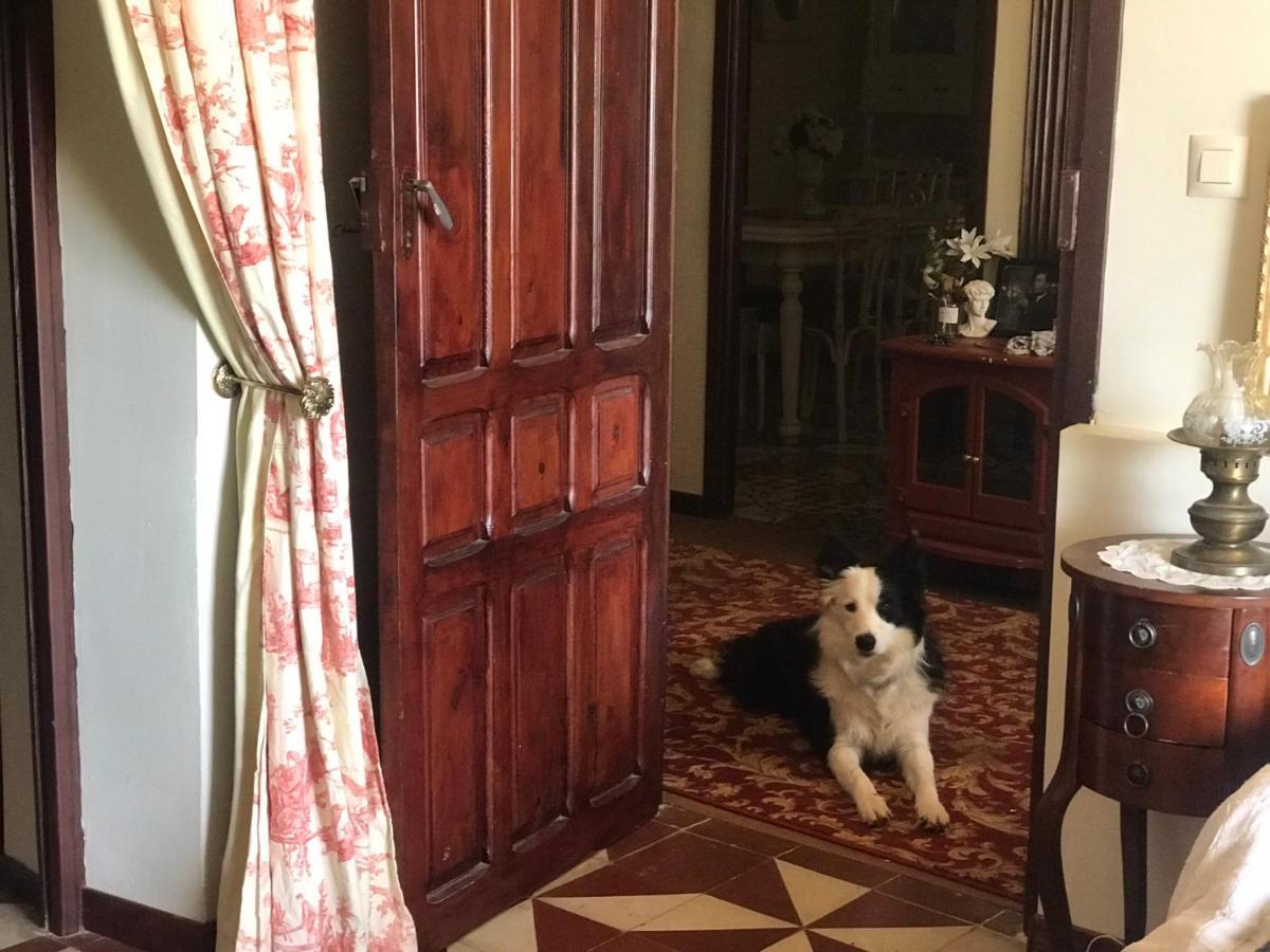 Casa Rural Con Encanto Senorio Manchego Albacete Yeste Eksteriør bilde